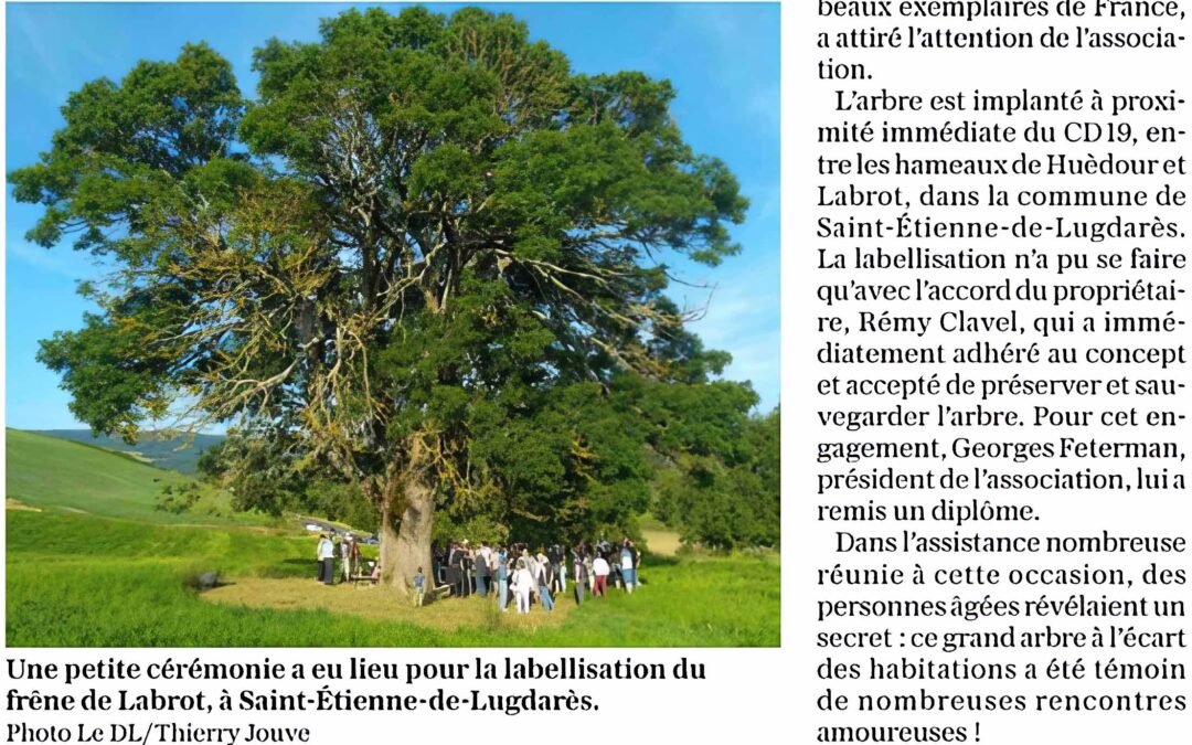 Un deuxième arbre labellisé « remarquable » en Ardèche