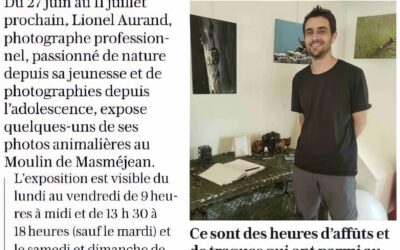 Une exposition de photos animalières à voir jusqu&rsquo;au 11 juillet