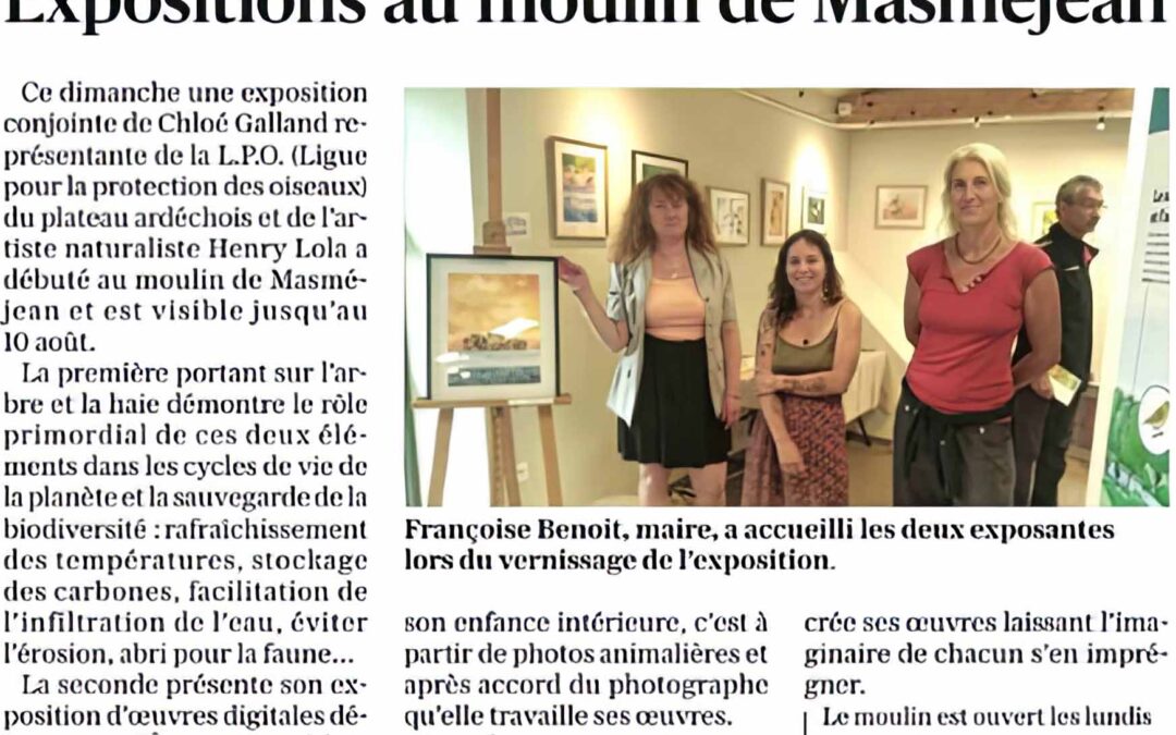 Expositions au moulin de Masméjean