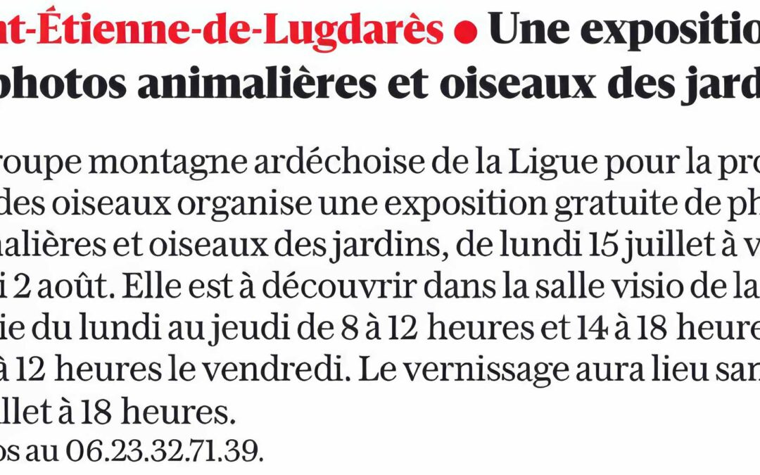 Une exposition de photos animalières et oiseaux des jardins