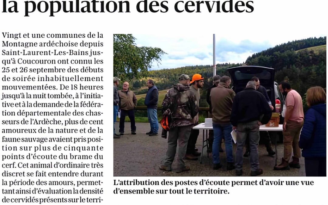 A l&rsquo;écoute du brame pour évaluer la population de cervidés