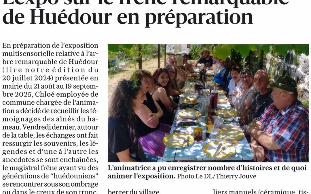L&rsquo;expo sur le frêne remarquable de Huédour en préparation