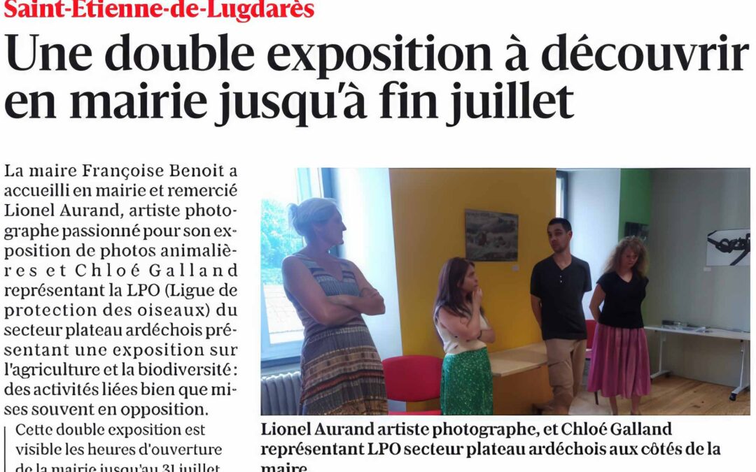 Une double exposition à découvrir en mairie jusqu&rsquo;à fin juillet