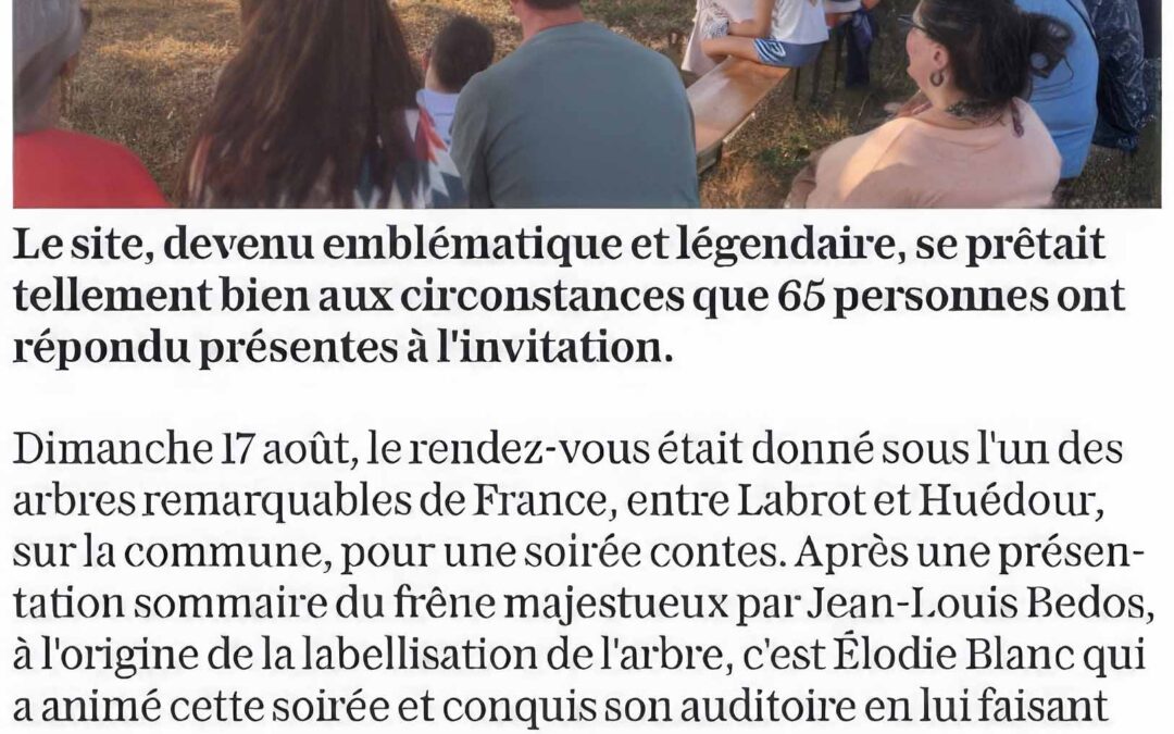 Une semaine artistique autour de l&rsquo;arbre remarquable