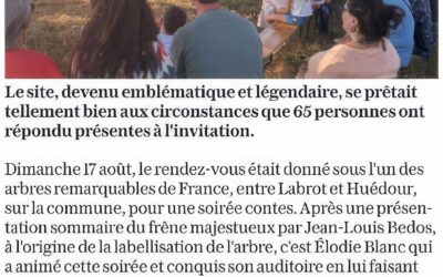 Une semaine artistique autour de l&rsquo;arbre remarquable