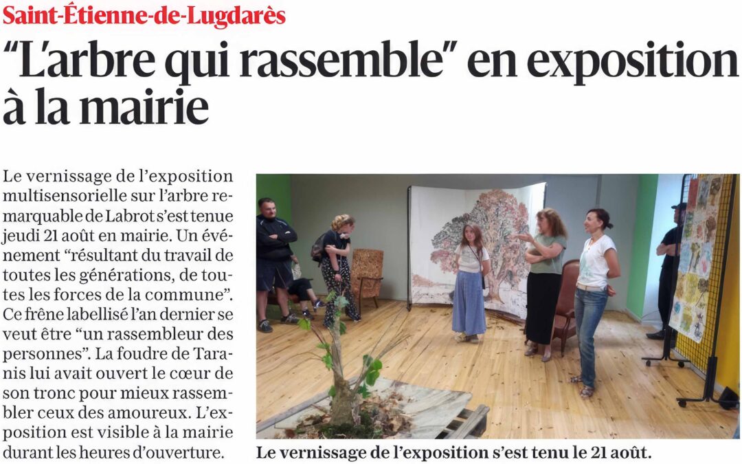 « L&rsquo;arbre qui rassemble » en exposition à la mairie