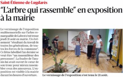 « L&rsquo;arbre qui rassemble » en exposition à la mairie